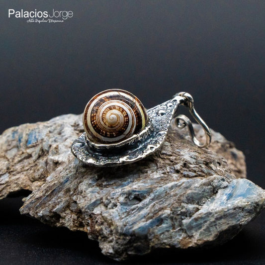 Caracol pardo en Plata